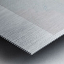 The Father Metal print