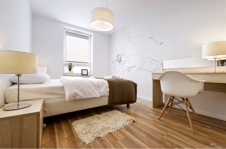Drawings Mural print