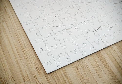 Drawings Irfan Ajvazi puzzle