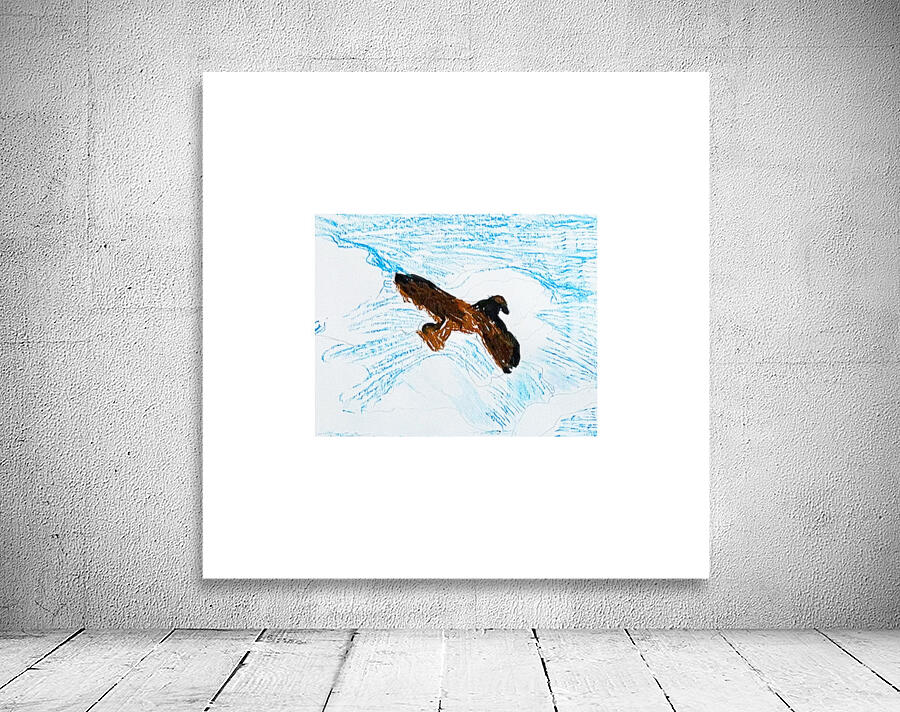 The Bird Wall Preview