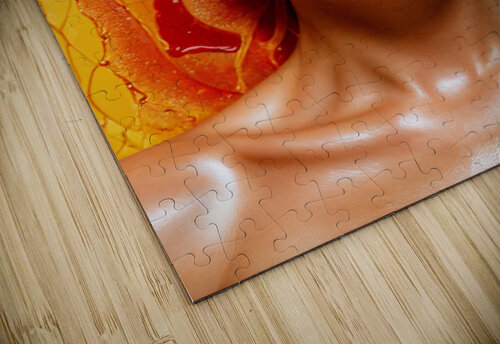 Radiant Elegance ART DH puzzle