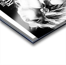 The Pretty Reckless 24 Acrylic print