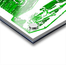 Type O Negative 4 Acrylic print