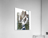 Type O Negative 29 Acrylic Print