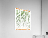 Type O Negative 35 Acrylic Print
