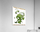 Type O Negative 37 Acrylic Print