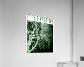 Type O Negative 13 Acrylic Print