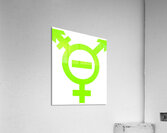 Type O Negative 24 Acrylic Print