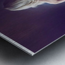 The Pretty Reckless 10 Metal print