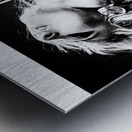 The Pretty Reckless 24 Metal print