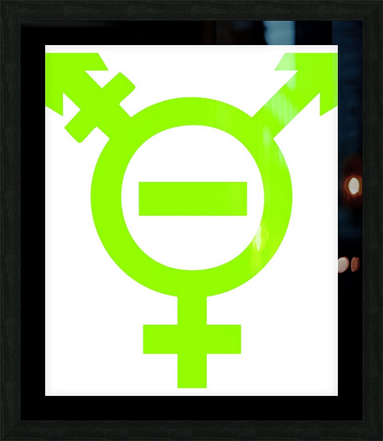 Type O Negative 24 Picture Frame print