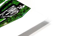 Type O Negative 9 HD Metal print