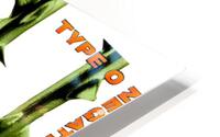 Type O Negative 34 HD Metal print