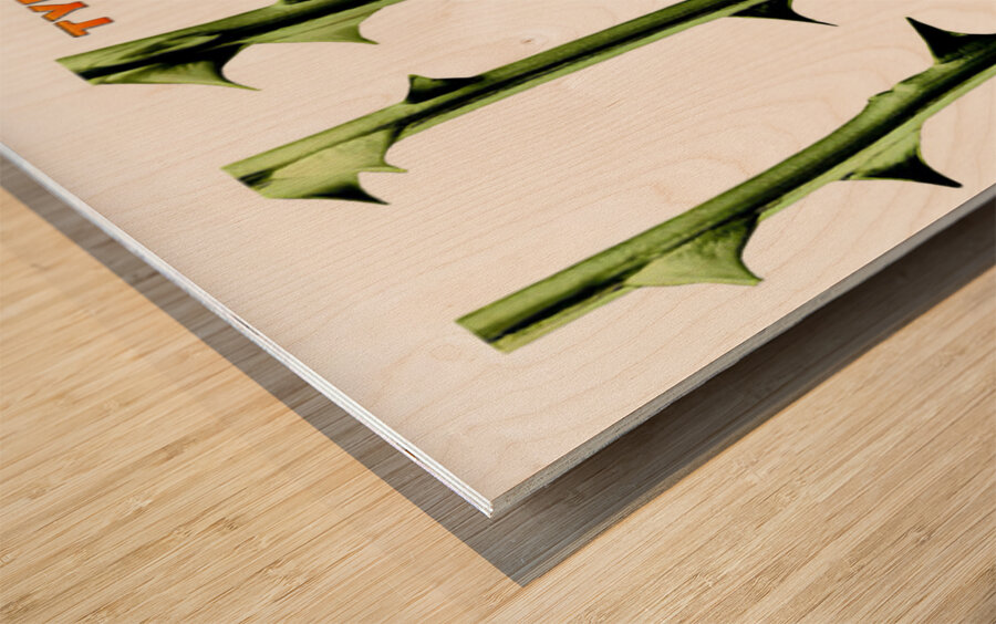Type O Negative 34 Wood print