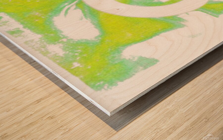 Type O Negative 15 Wood print