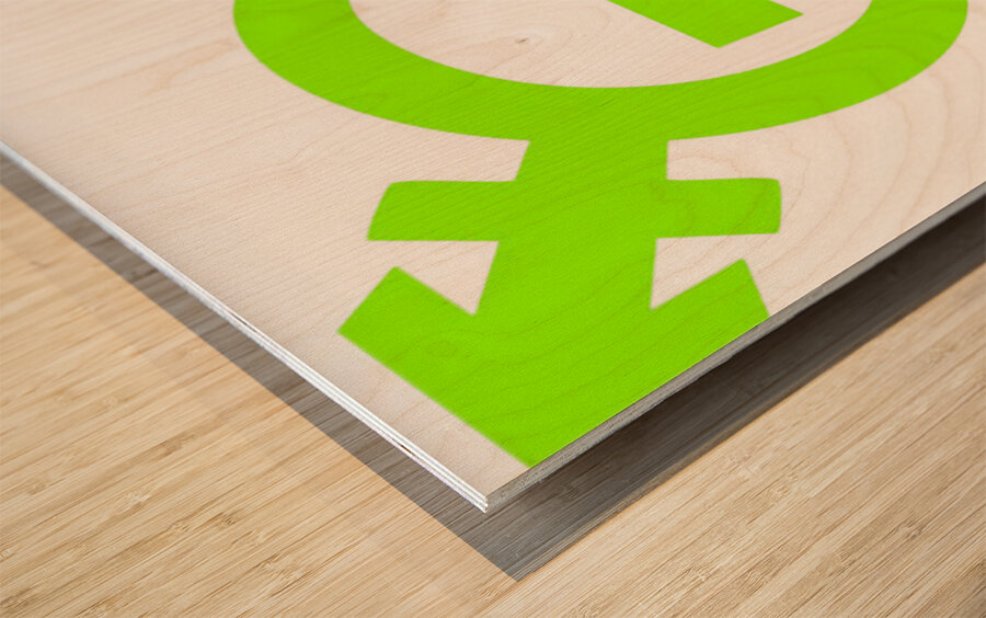Type O Negative 24 Wood print