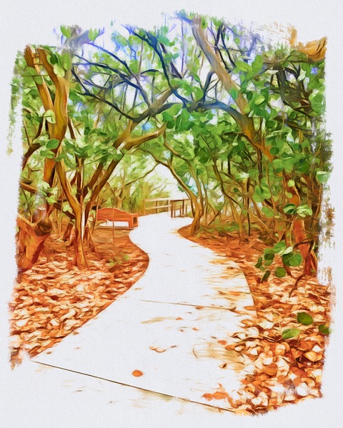 Beach Access 18 Digital Download