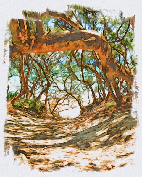 Beach Access 37 Digital Download
