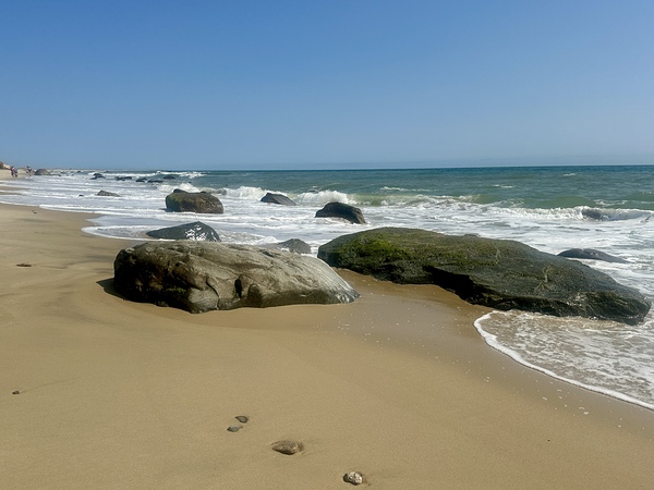 Lucy Vincent  Digital Download