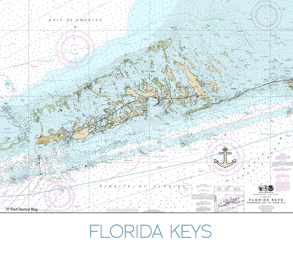 Florida Key Digital Download
