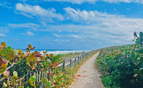 Beach Path II Digital Download