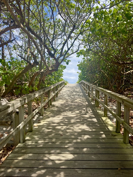 Beach Access   67 Digital Download
