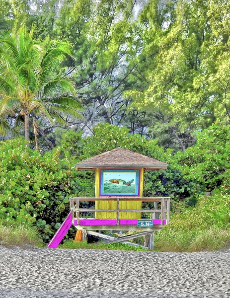 LifeGuardStation Digital Download