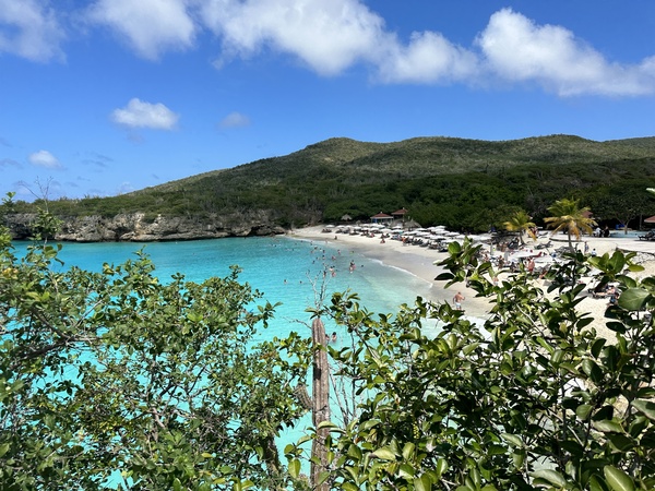 Mambo Beach Digital Download