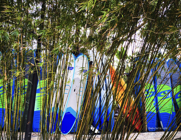 PaddleBoards Digital Download