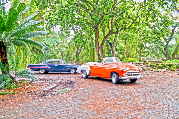 Cuba IV Digital Download