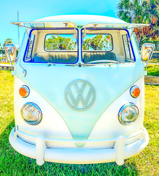 VW Bug Digital Download