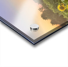 IMG 0970 Acrylic print
