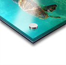 SeaTurtle10 Impression Acrylique