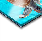 Sea Turtle 3 Acrylic print