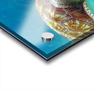 Sea Turtle 2 Acrylic print