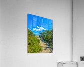 Beach Access  70 Impression acrylique