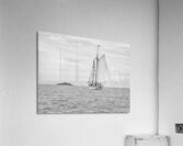 IMG 1788 Acrylic Print