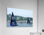 DSCN7089 Acrylic Print