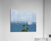 DSCN7060 Acrylic Print