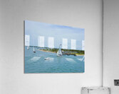 DSCN7183 Acrylic Print