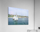 DSCN7190 Acrylic Print