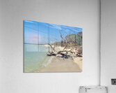 Boca Grande FL III Acrylic Print