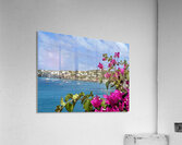 IMG 7005 Acrylic Print