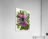 Butterfly II Acrylic Print
