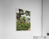 Nantucket  Acrylic Print