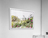Beach Flowers  Acrylic Print