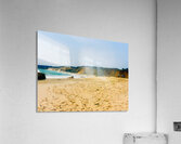Lucy Vincent I Acrylic Print