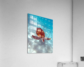 IMG 6890 Acrylic Print