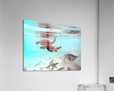 IMG 6881 Acrylic Print