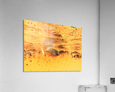 Fishies Acrylic Print